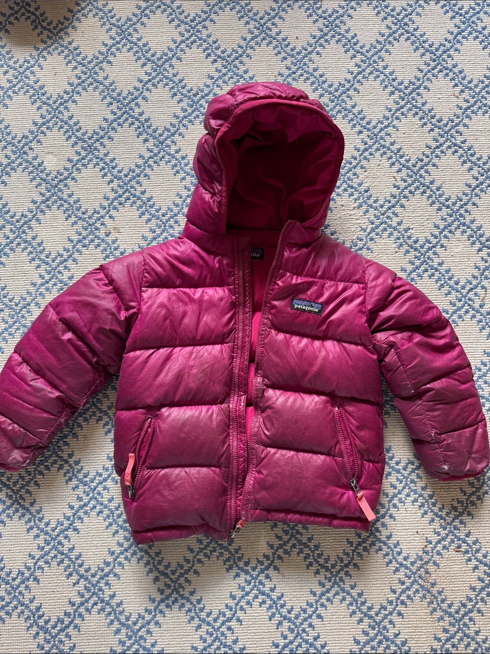 Patagonia Hi-Loft Down Hooded Jacket